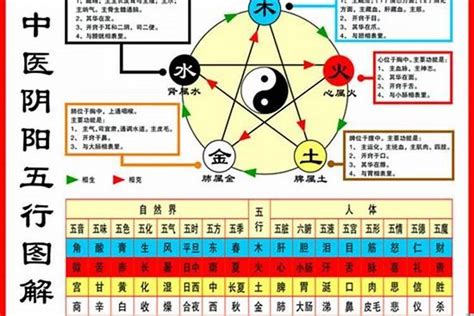 鼠五行